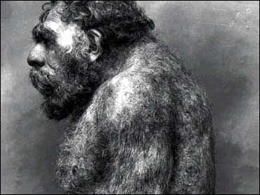 Study Neanderthals Lived Longer Than Thought Cbs News