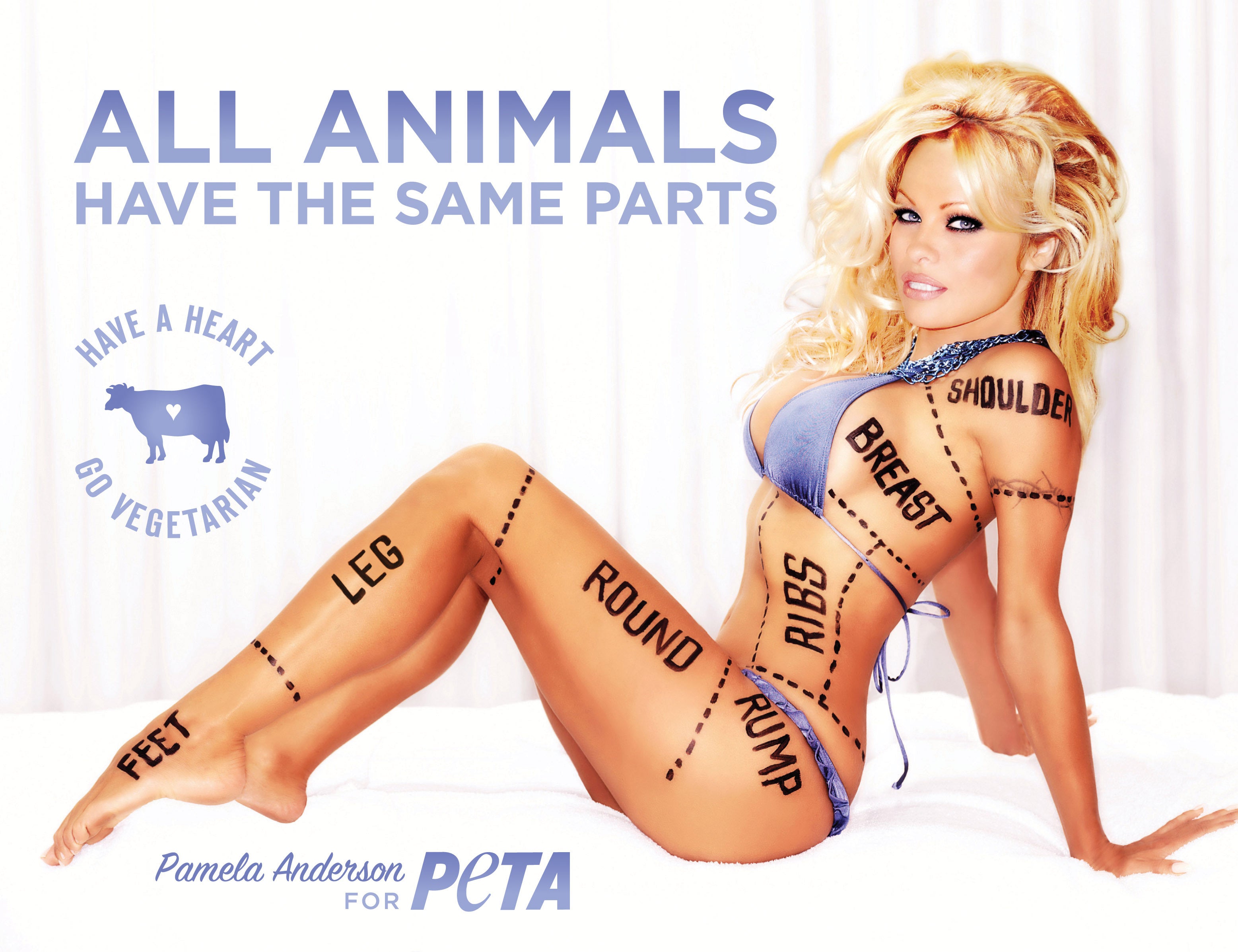 PETA Plans To Launch A Porn Site CBS News