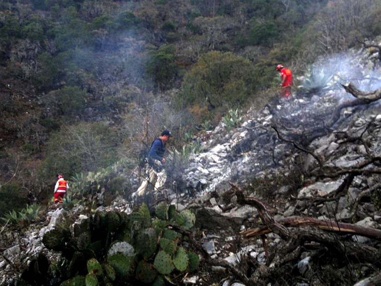 Official Jenni Rivera S Plane Took 28 000 Foot Plunge CBS News