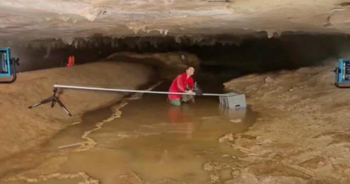 Researchers Find Largest Known Native American Cave Art In Alabama