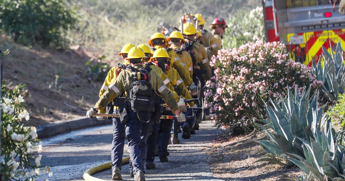 Wildfires Force Evacuations In California Other Western States CW Tampa