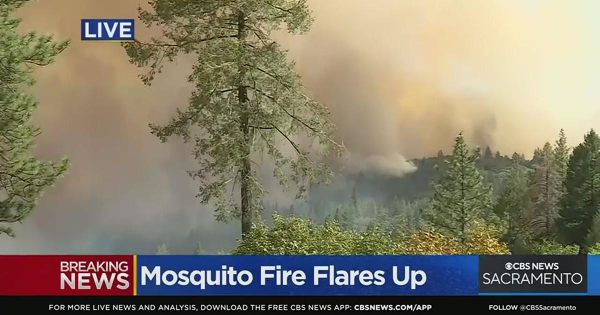 Mosquito Fire Flares Up On Both Western And Eastern Flanks CBS Sacramento