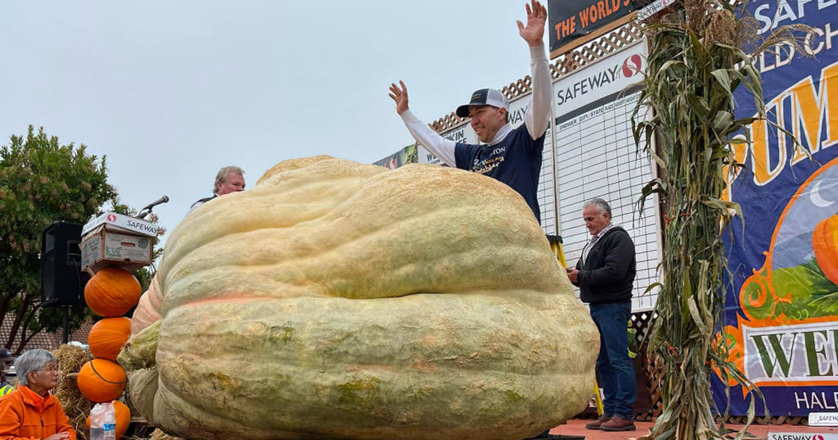 National Record For Heaviest Pumpkin Crushed At Annual Half Moon Bay