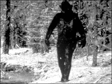 Bigfoot Encounter Leaves Man in Shock