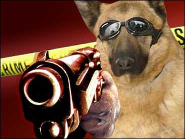 Dog Shoots Man? That's News! - CBS News