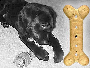 are greenies dog treats good for your dog