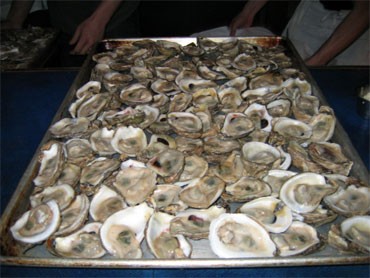 oysters.jpg 