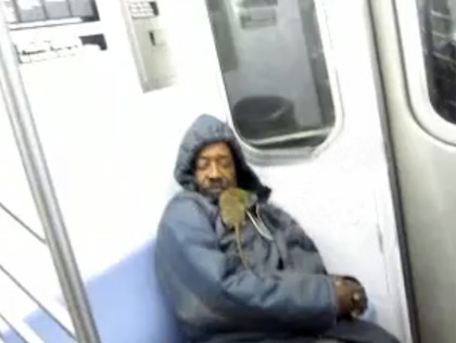 Rat On No. 4 Subway 