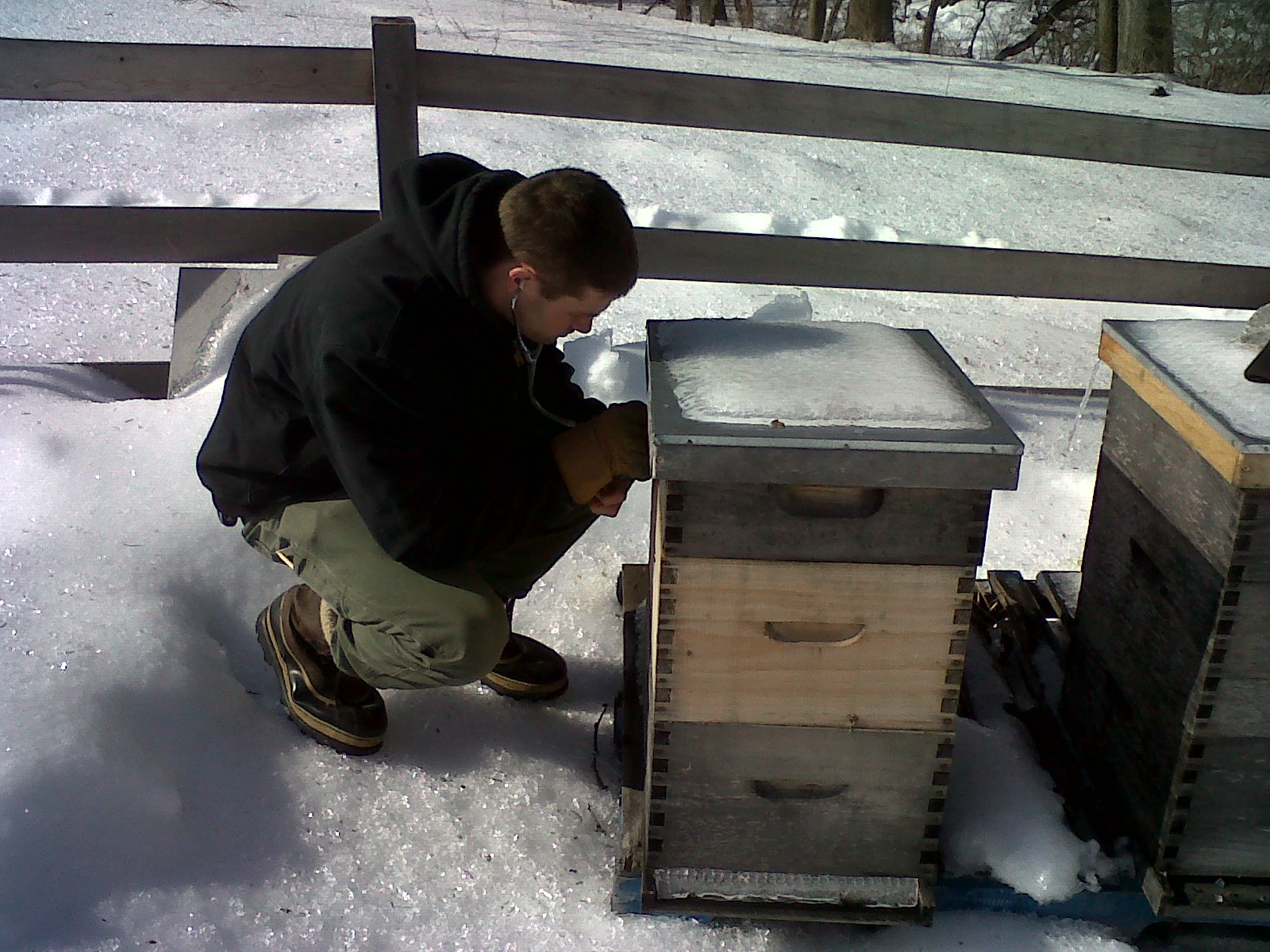 Snow Covered Bee Hives at Stone Barns Farm 