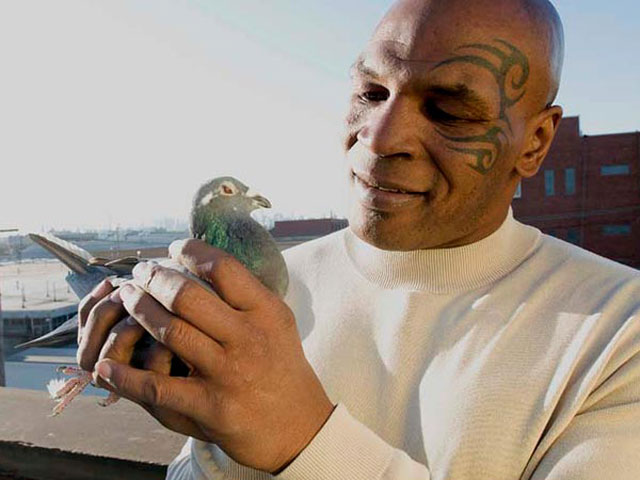 Mike Tyson Races Homing Pigeons On New Show Cbs News