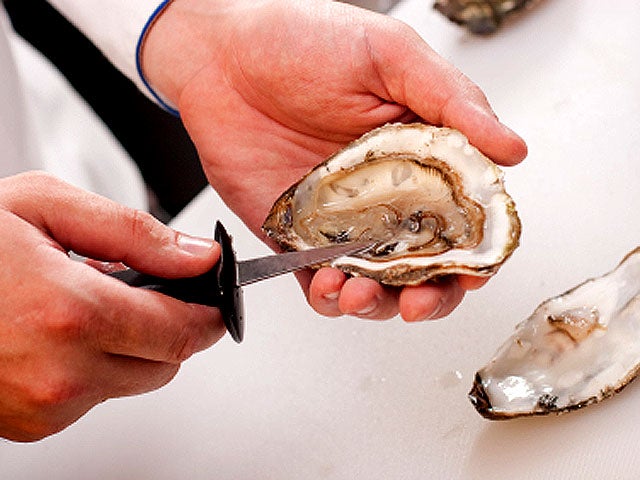 How Dangerous Are Raw Oysters Womans Death From Flesh Eating Bacteria Vibrio Raises Concerns 8213