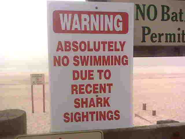 shark sign 