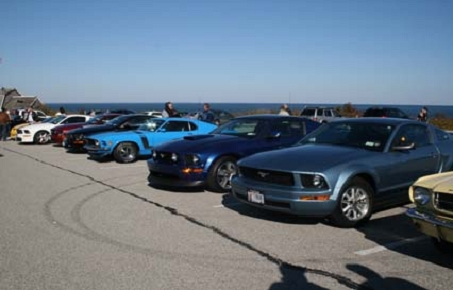 Mustangs At The beach 