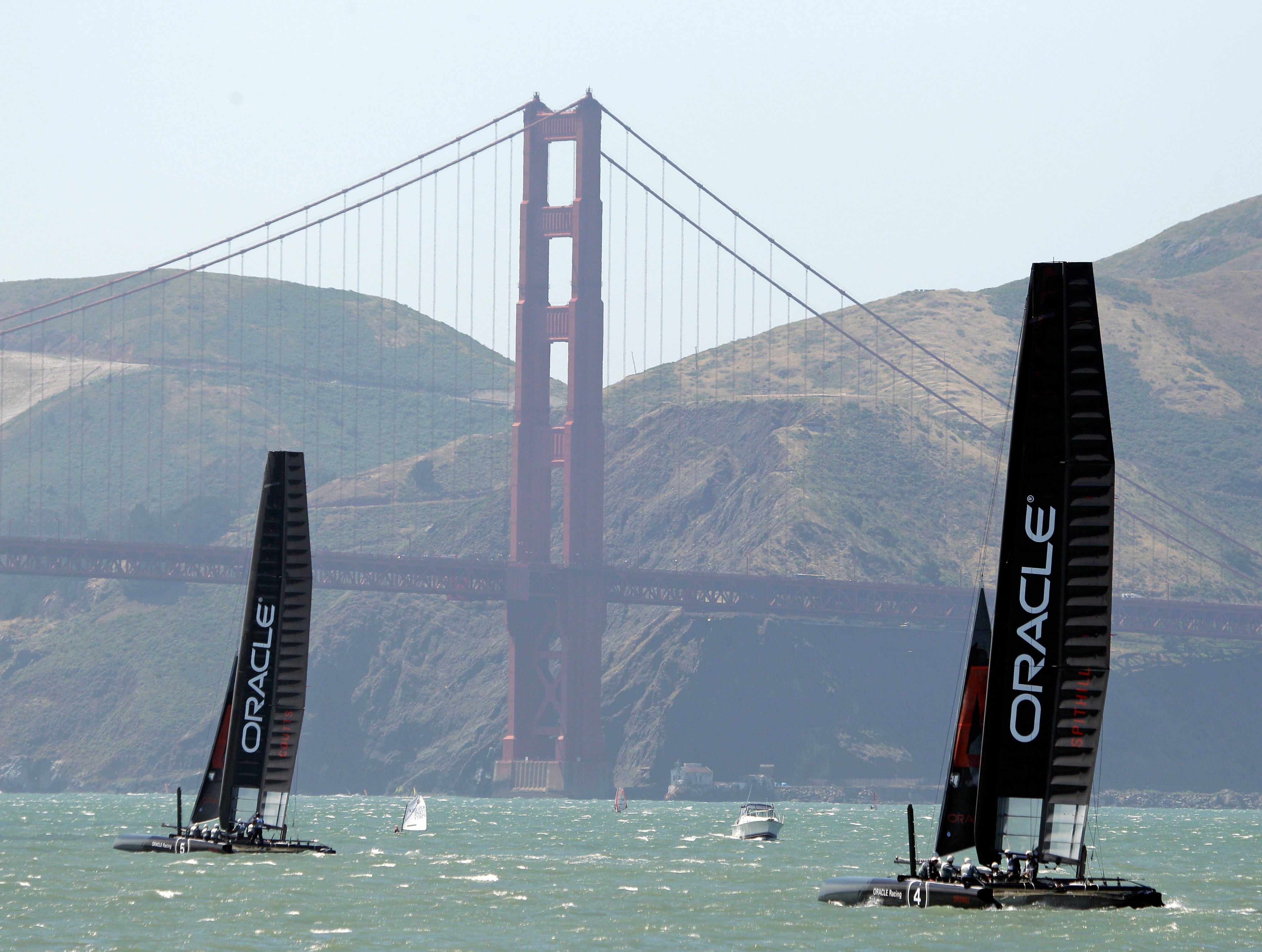 america's cup catamaran