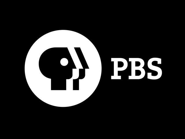 PBS website hit by hacktivists, its database leaked online - Help