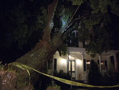 Tree Collapse In Pleasantville 