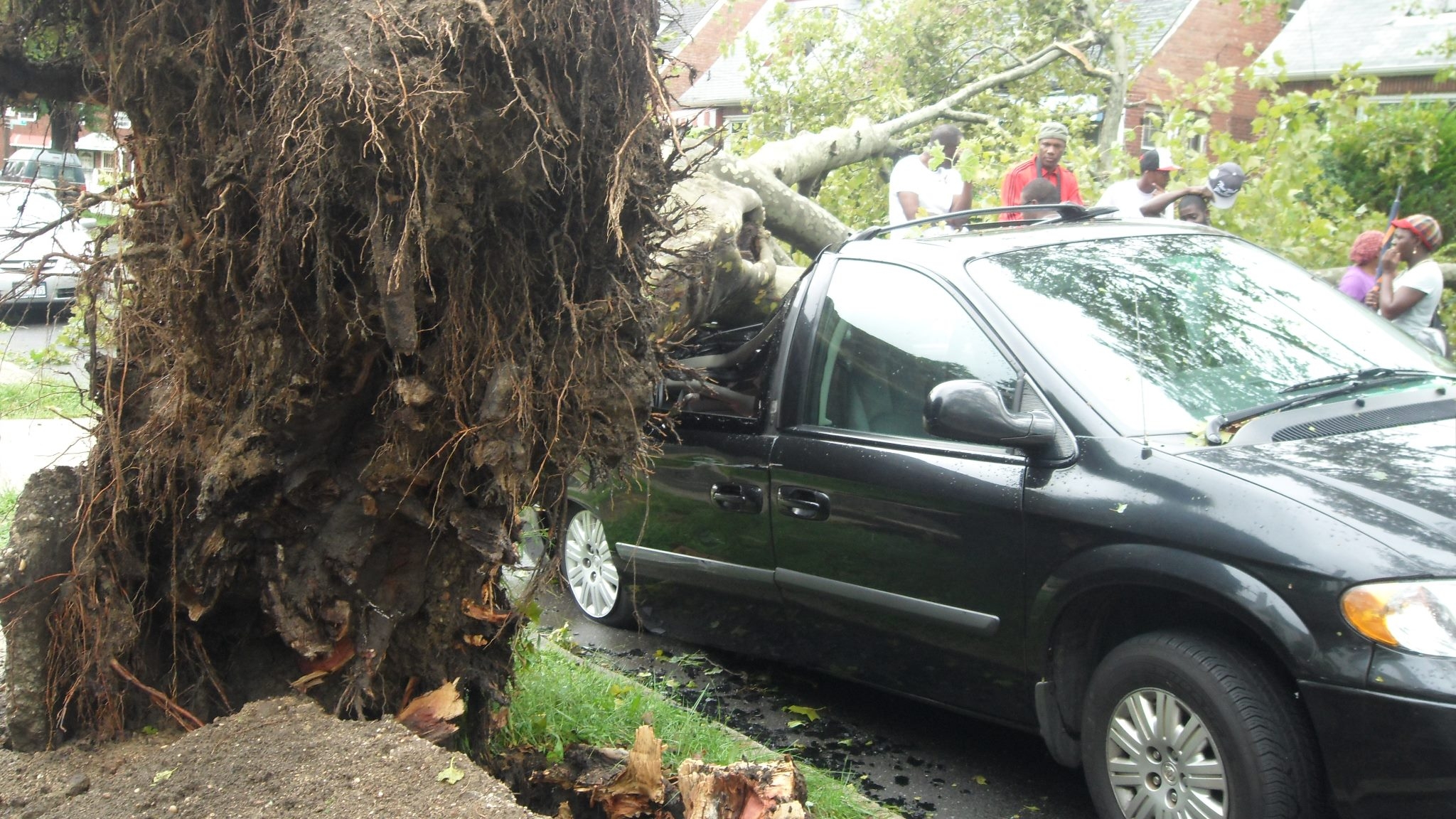 the-tree-that-fell-in-our-block-and-crushed-my-neighbors-car-credit-facebook-fan-pic-by-jasmin-c-van-brackle.jpg 