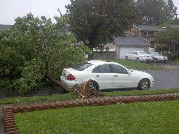 tree-narrowly-missing-my-car-in-elmont-ny-credit-facebook-fan-pic-by-lance-mathew.jpg 