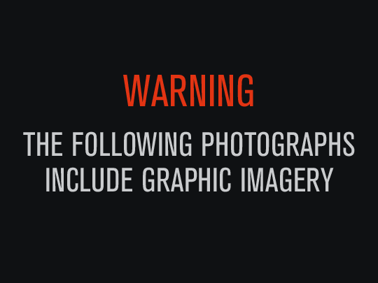 graphic_image_warning.gif 