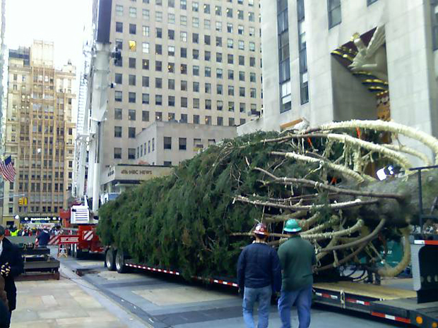 Rockefeller Center Christmas Tree 