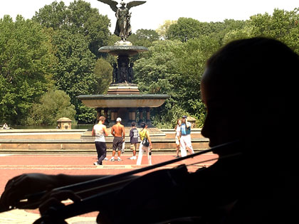 Violinist at Central Park 