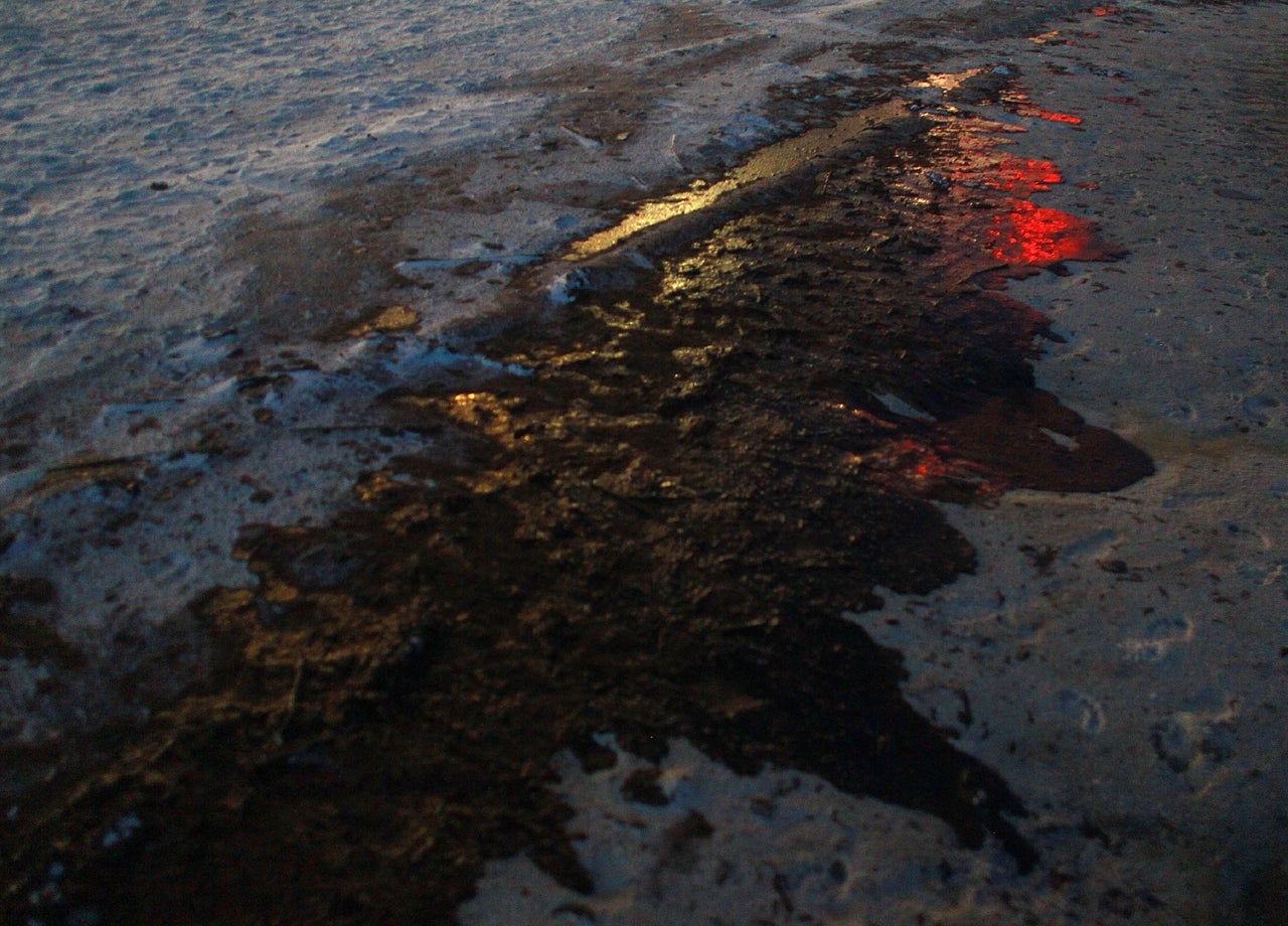 Bacteria sucked up 200,000 tons of oil after BP spill - CBS News