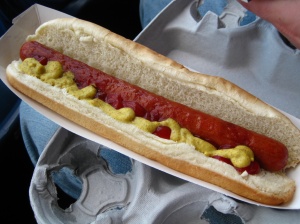 nathans-foot-long-hot-dog-from-yankee-stadium.jpg 