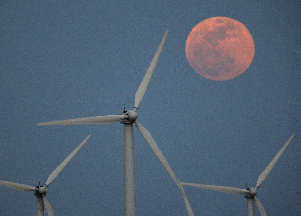 About 600,000 bats killed by wind turbines in 2012, study shows CBS News