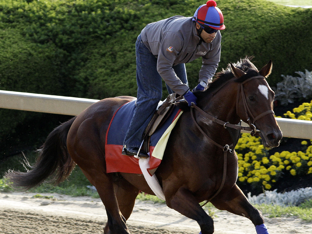 Preakness Stakes picks Experts tap Went the Day Well to defeat Derby