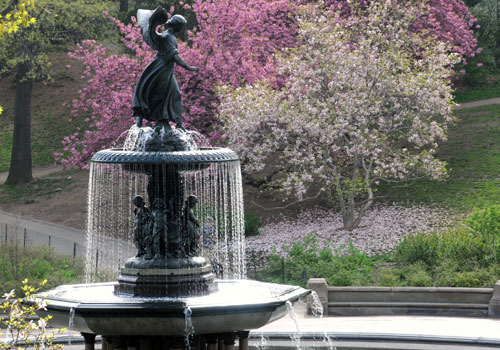 The Angel of the Waters in Central Park 