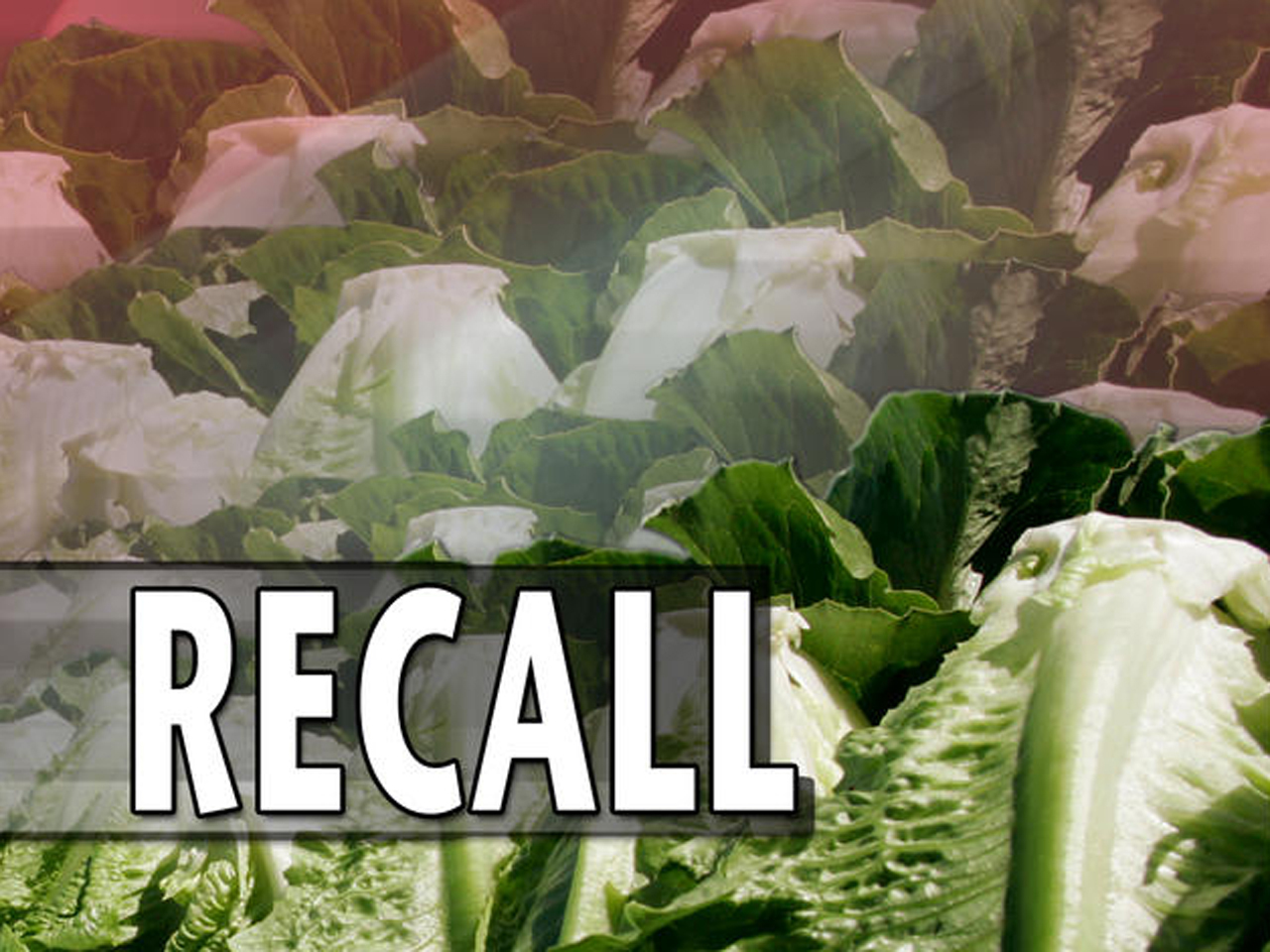 E.coli fears prompt romaine lettuce recall CBS News