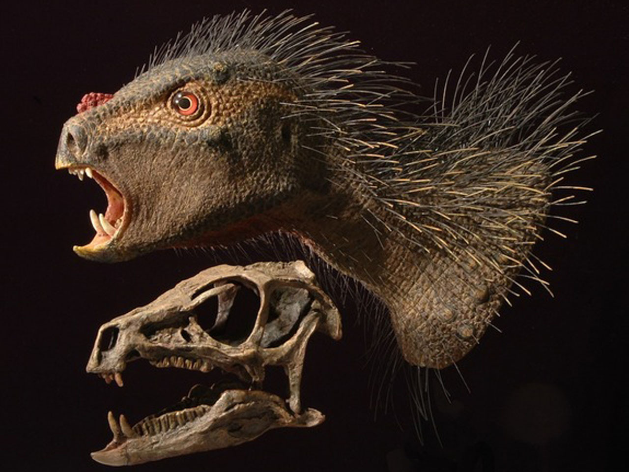 Bizarre new dinosaur discovered CBS News