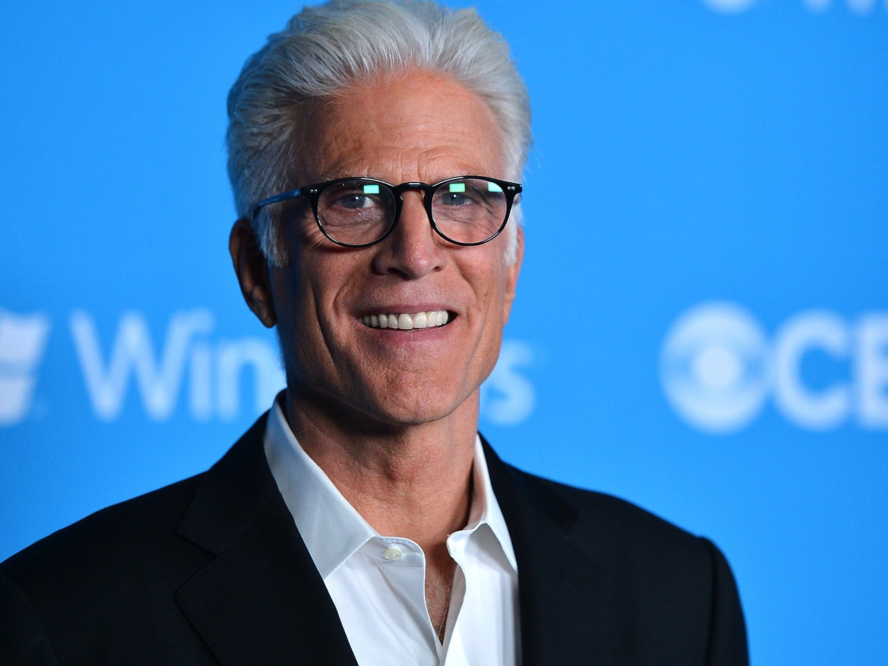 Ted Danson talks CSI role and possible 