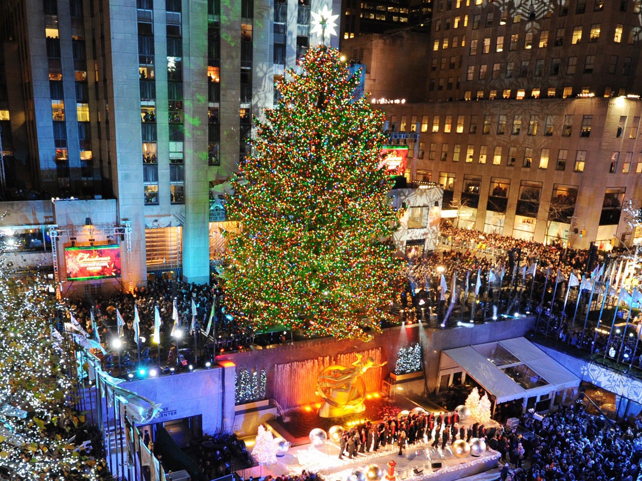 Tree destined for Rockefeller Center survives Sandy - CBS News