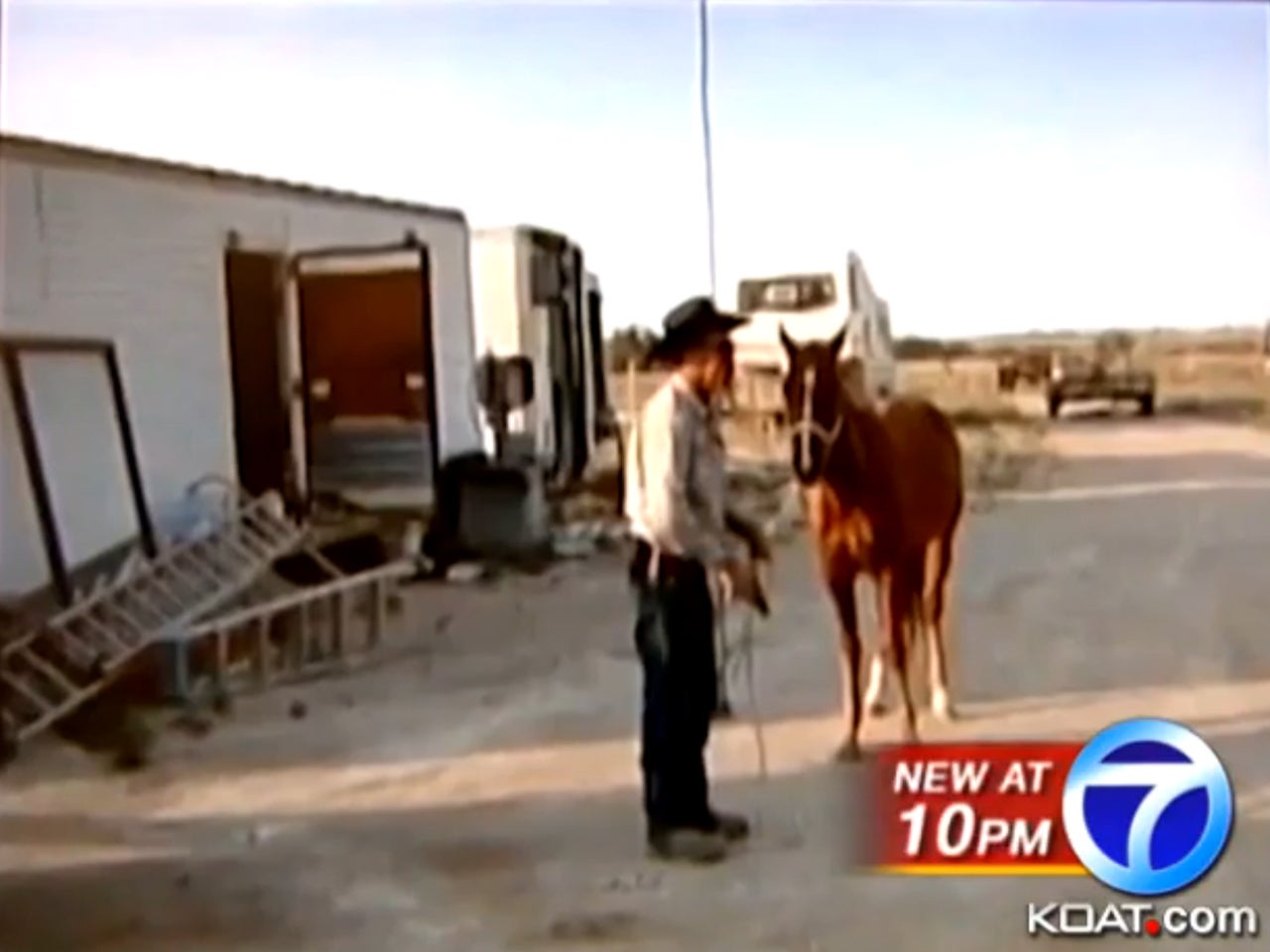 Judge clears way for domestic horse slaughter CBS News