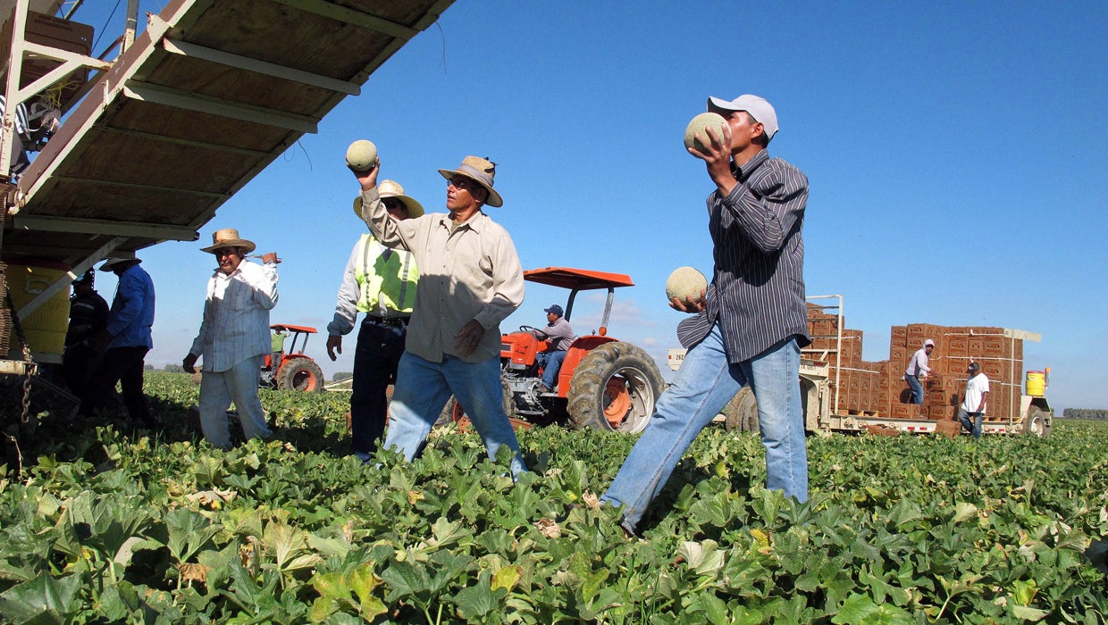 Labor and Immigration Reform in Agriculture