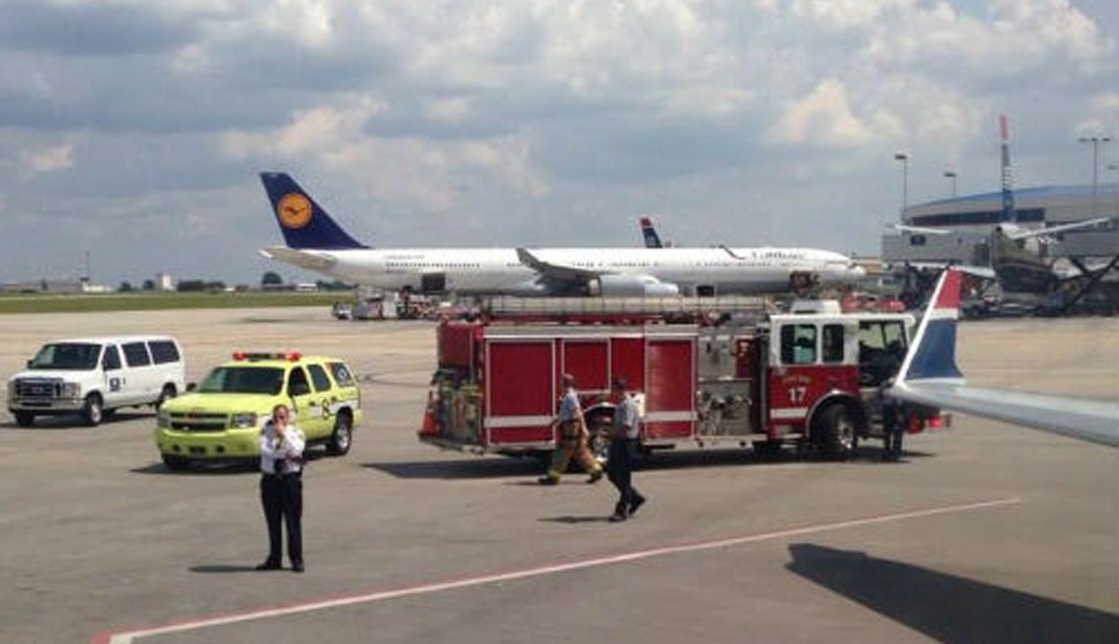 Swarm of bees delays flight at North Carolina airport - CBS News