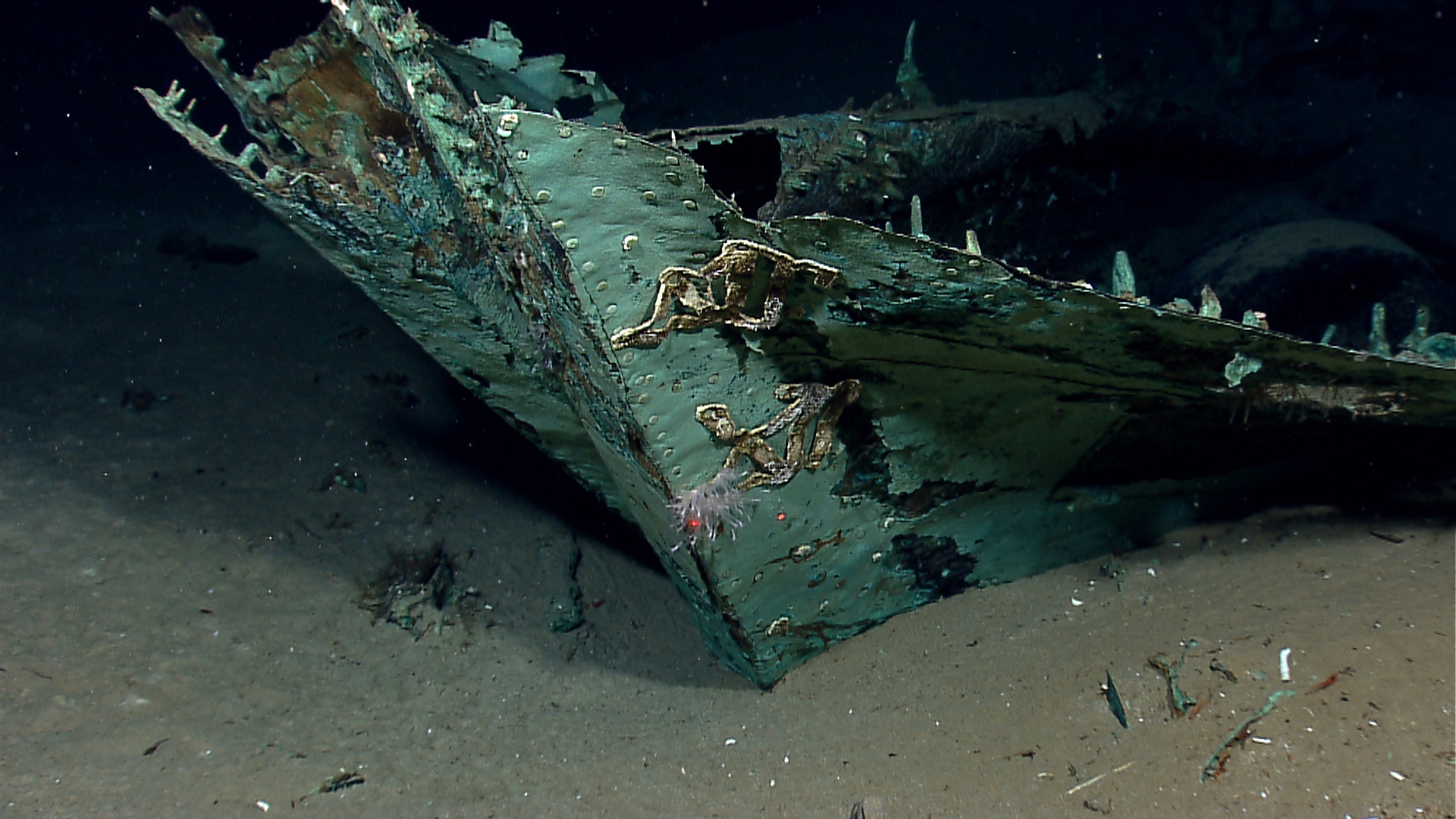 Gulf Of Mexico Wreck Maps | Sexiz Pix