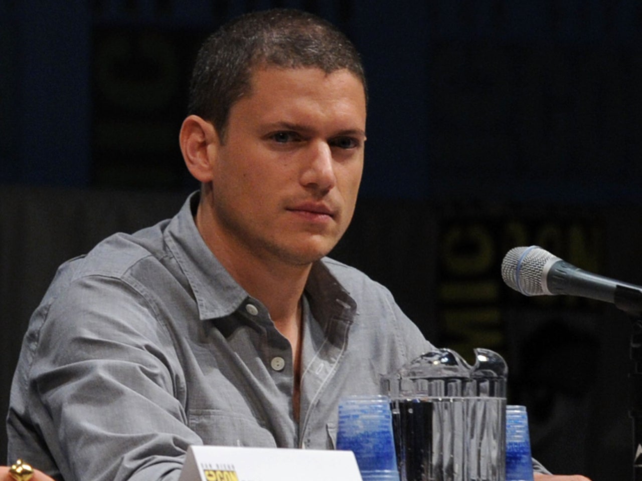 Actor Wentworth Miller reveals he's gay, declines invitation to Russian ...