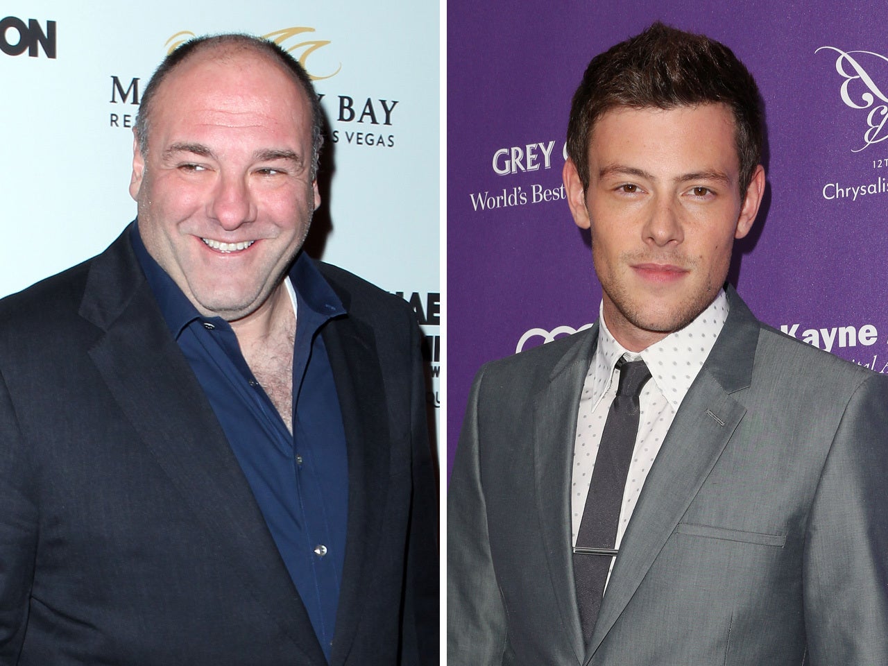 Emmys James Gandolfini, Cory Monteith to receive special tributes(00)