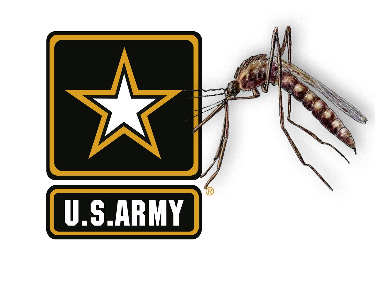 Elite Army Units To Stop Taking Anti-malarial Drug - CBS News