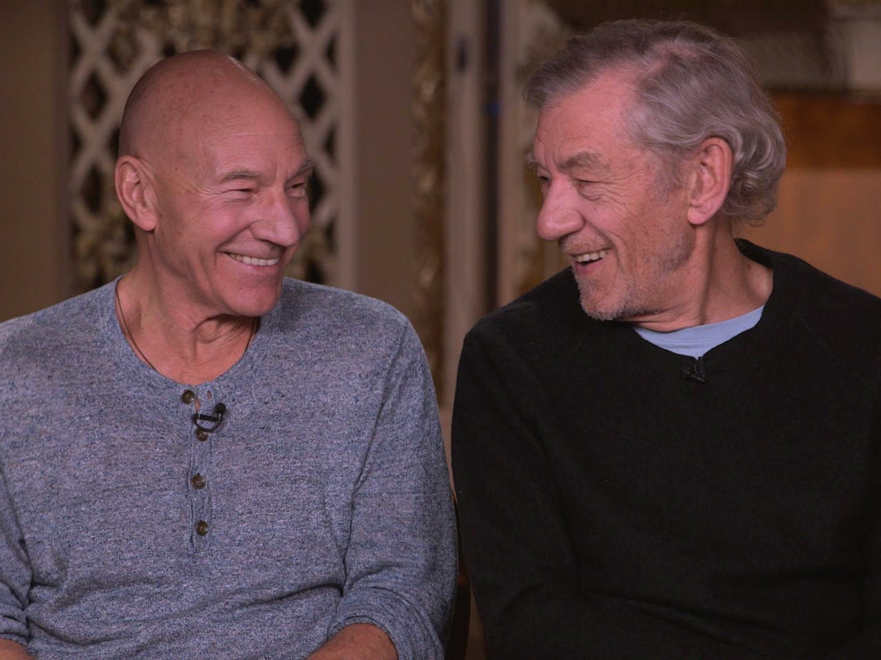 ian mckellen im gandalf and magneto