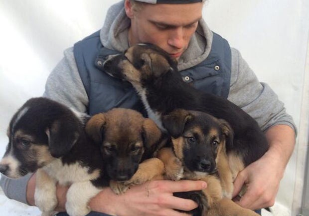 U.S. freestyle skier Gus Kenworthy adopting stray Sochi puppies