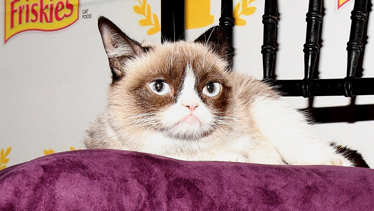 Grumpy Cat's Worst Christmas Ever (TV Movie 2014) - IMDb