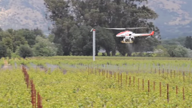 yamaha-rmax-helicopter-drone-crop-dusting-620.jpg 