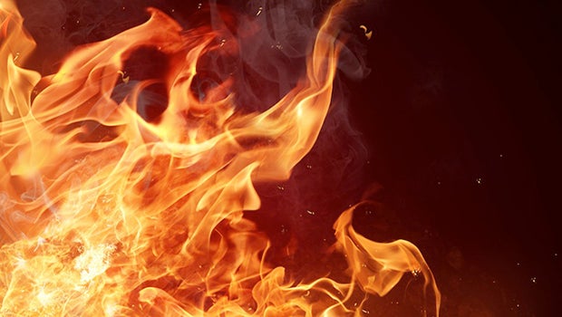 Cool fire dragon HD wallpapers | Pxfuel