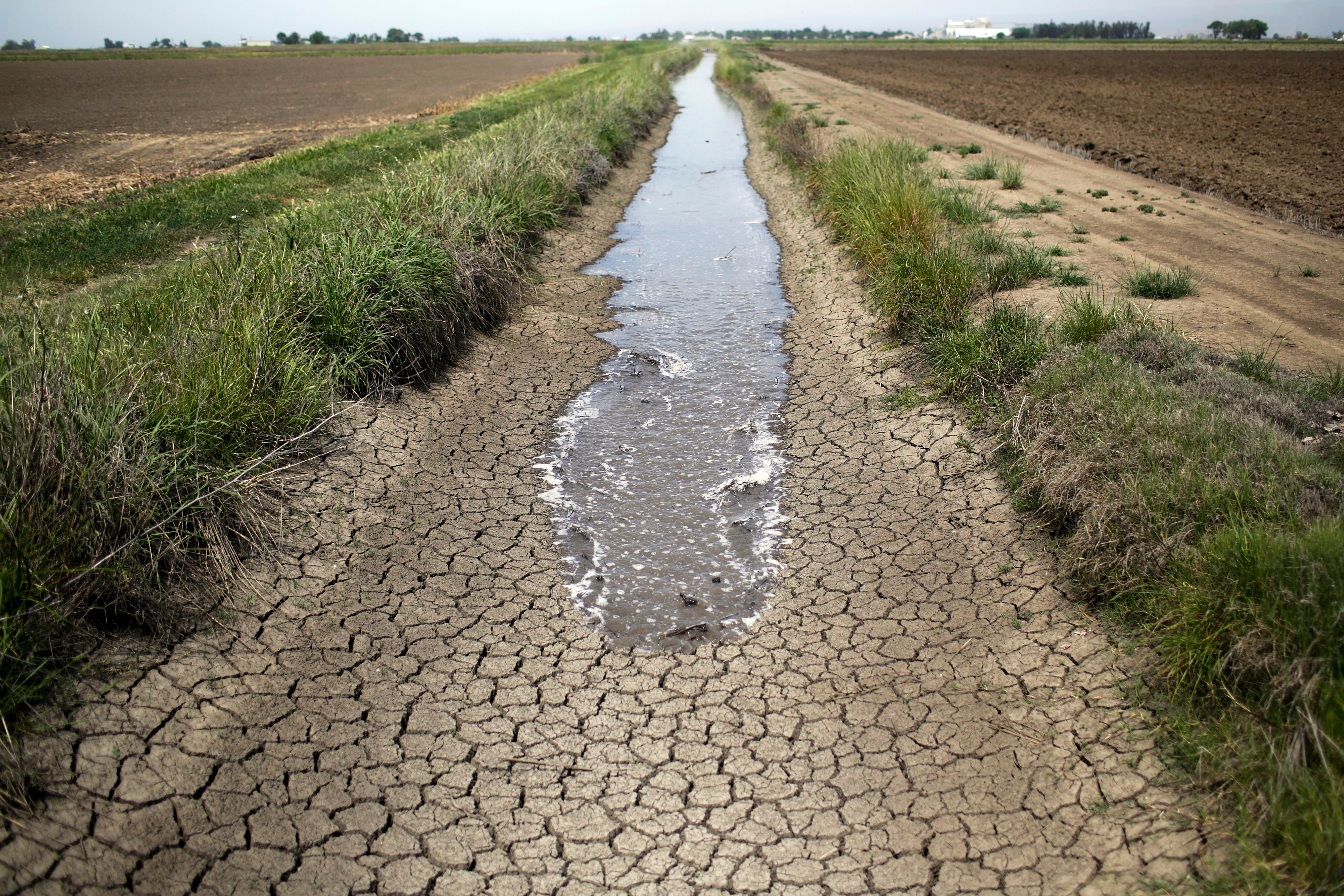 Trade Market Landscape for California Rice Remains Turbulent