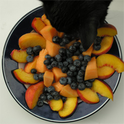 fruit-plate-bebe-244.jpg 