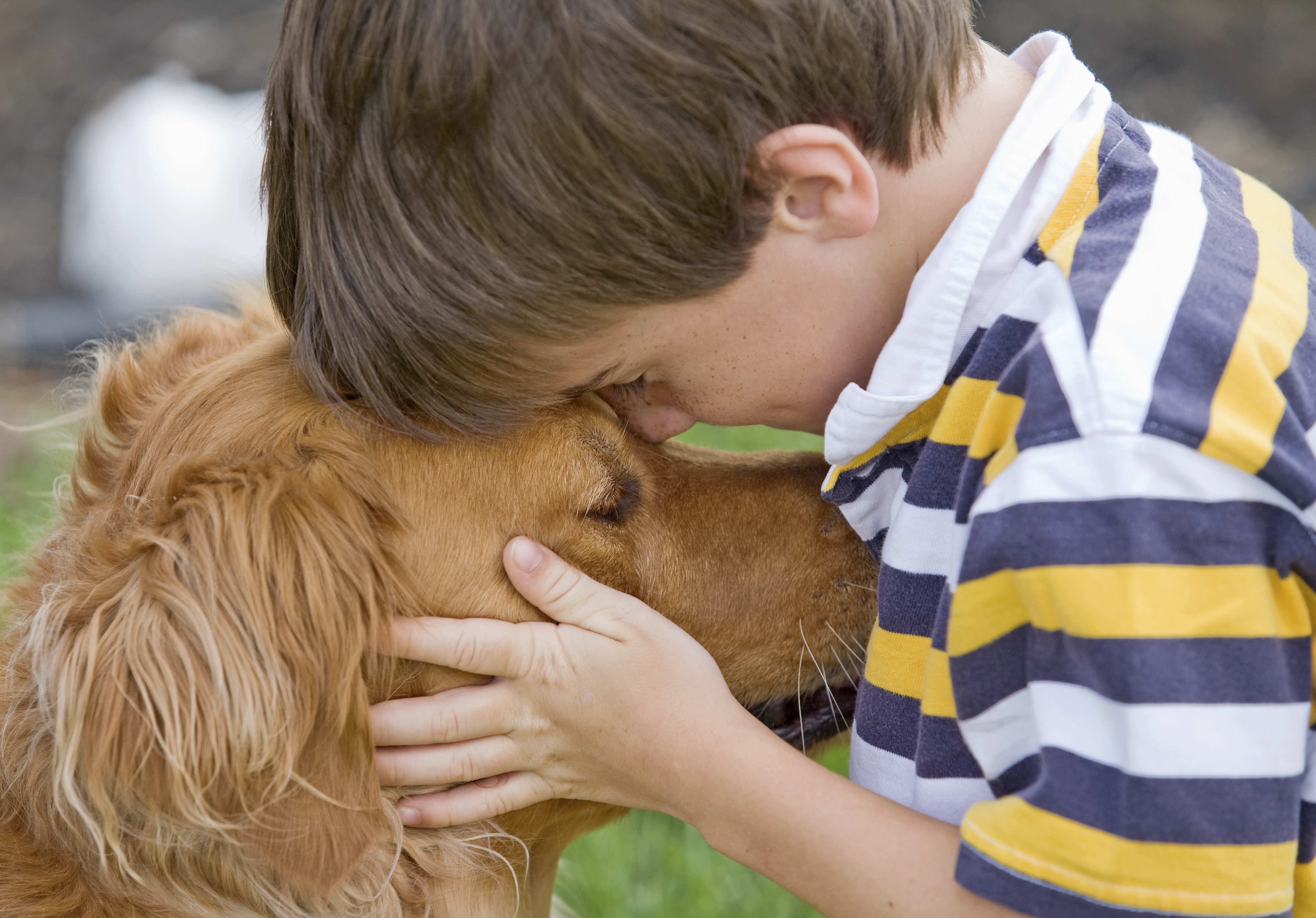Pets help autistic kids improve social skills - CBS News