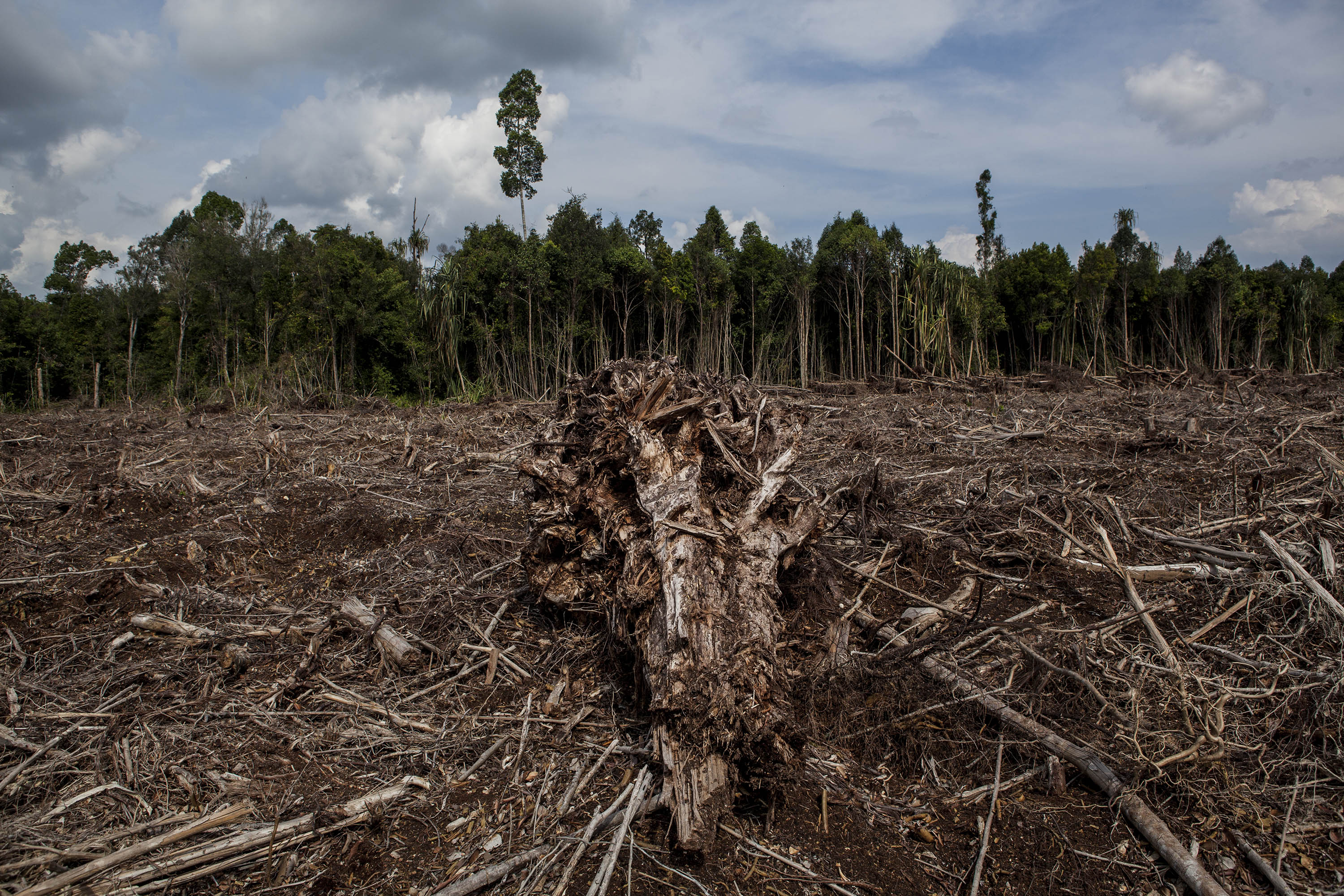 4 ways man is pushing Earth to the brink - CBS News